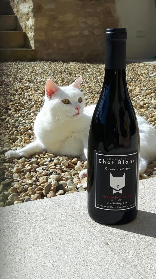 Le Cottage Du Chat Blanc Saint Didier  Buitenkant foto